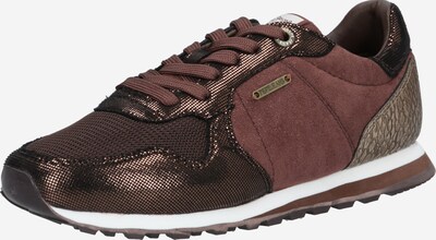 Pepe Jeans Sneaker für Damen bei ABOUT YOU kaufen Pepe Jeans London Damen Verona W Glitter Sneakers, Blau