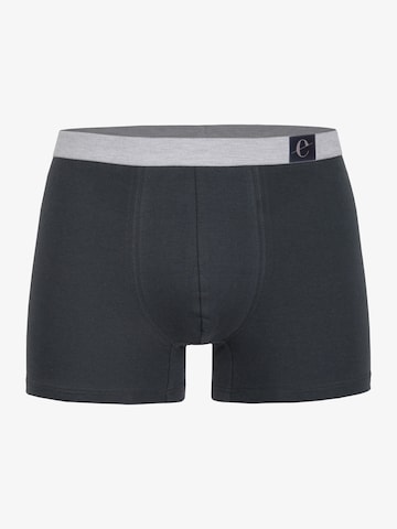 Erlich Textil Boxershorts 'Gustav' in Grau: Vorderseite