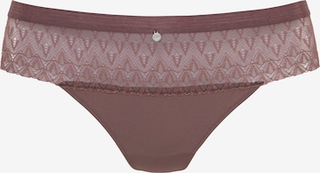 ruda s.Oliver Siaurikės: priekis