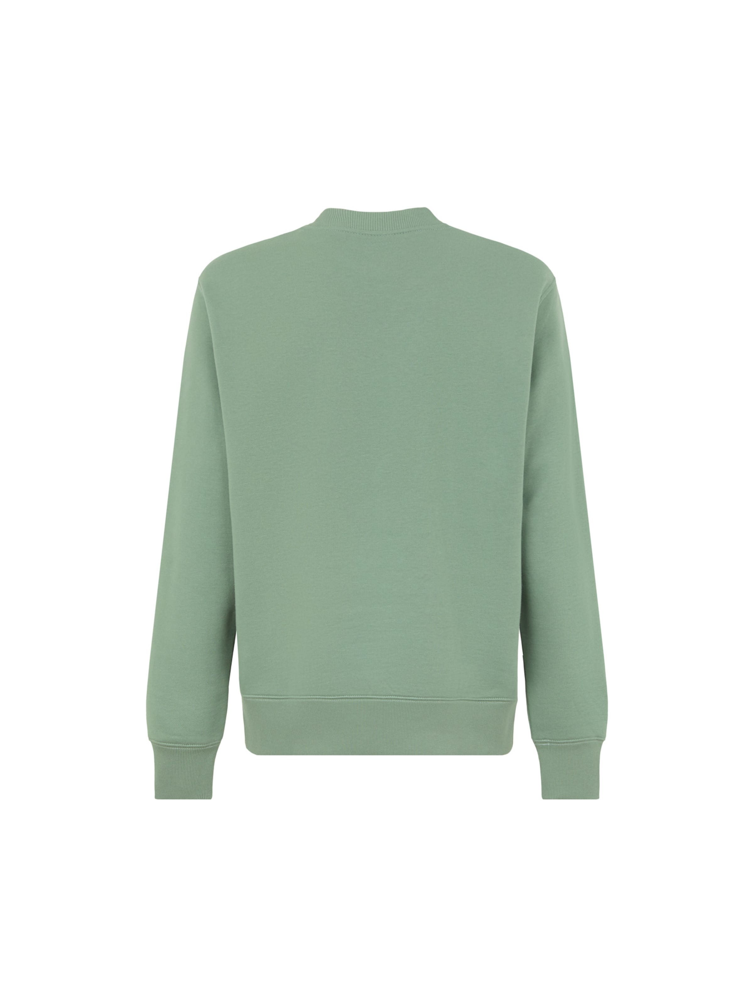 DICKIES Sweatshirt 'Summerdale' in Groen