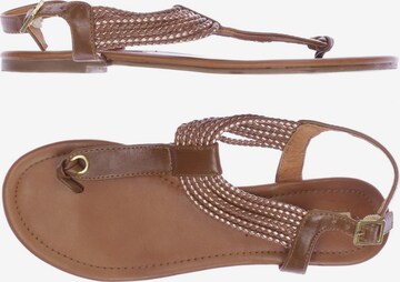 Buffalo London Sandals & High-Heeled Sandals in 39 in Brown: front