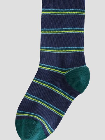 Next Socks in Mixed colours