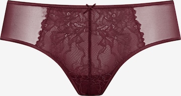 Culotte 'Fabulous' Mey en violet : devant