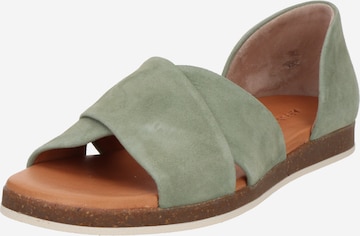 Apple of Eden Sandals 'Celine' in Green: front