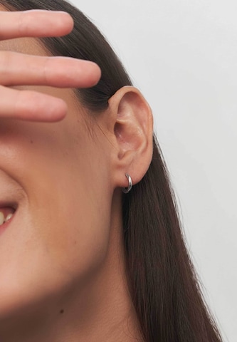 Stilnest Earrings in Silver: front