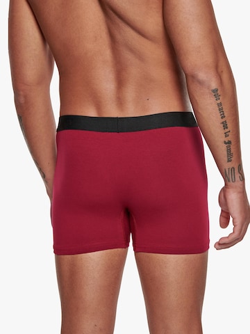 Adam Boxer shorts '6er Pack' in Grey