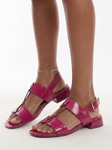 Maciejka Sandale‌‌‌‌ in Pink
