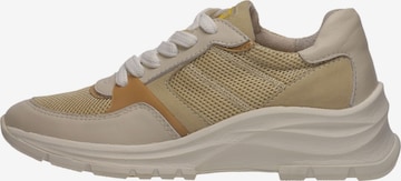 SALAMANDER Sneakers laag in Beige