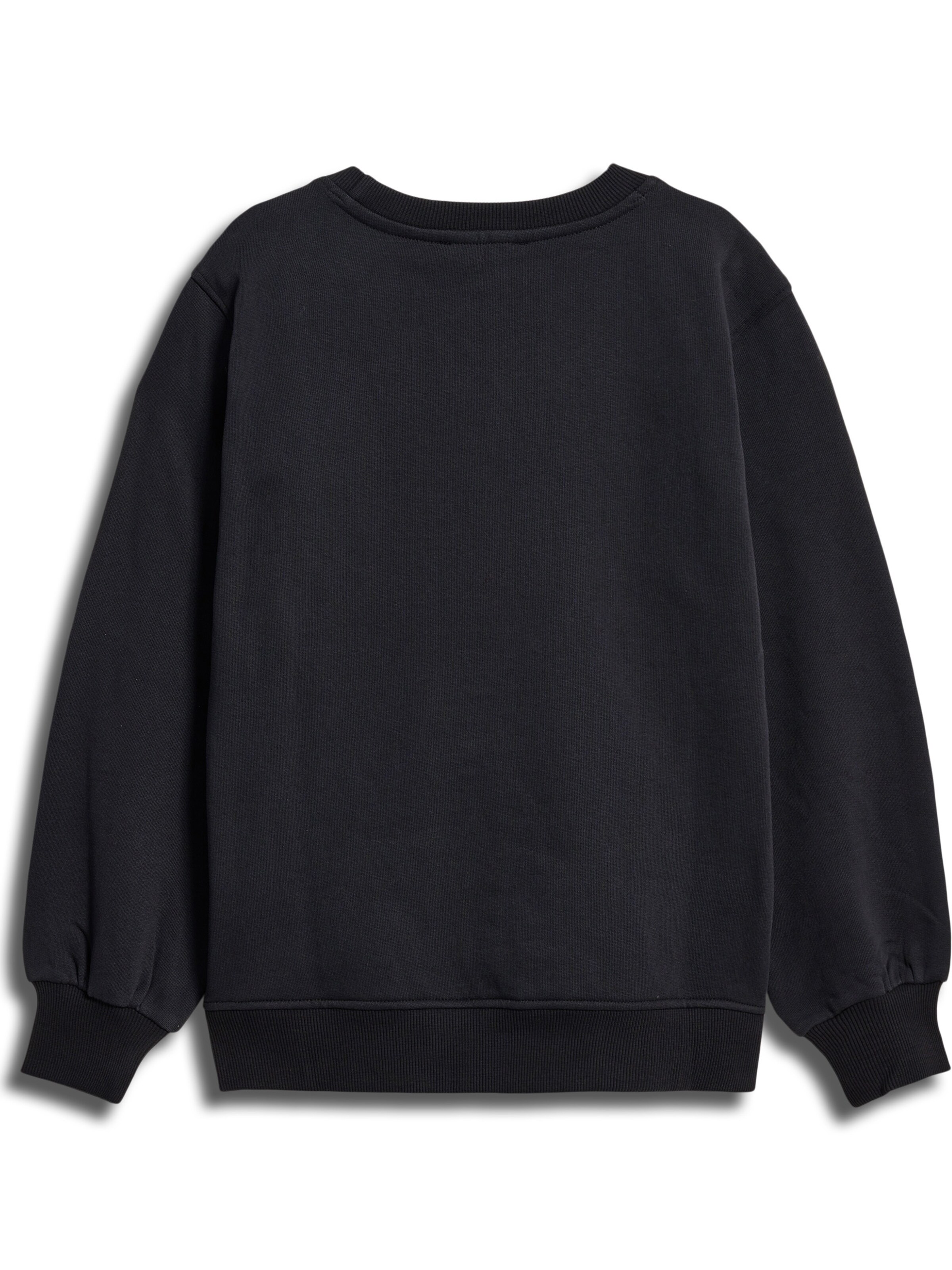 SOMETIME SOON Sweatshirt i sort