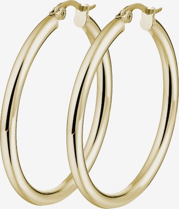 Lucardi Earrings in Gold: front