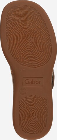 GABOR - Sandalias de dedo en marrón