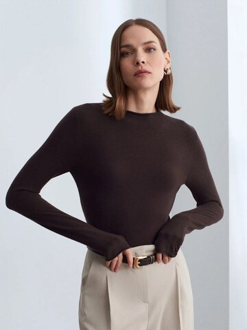 Dilvin Sweater 'Pullover' in Brown
