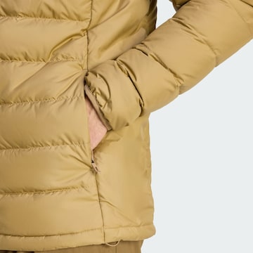 ADIDAS TERREX - Casaco outdoor ' Multi Light Down CLIMAWARM' em castanho