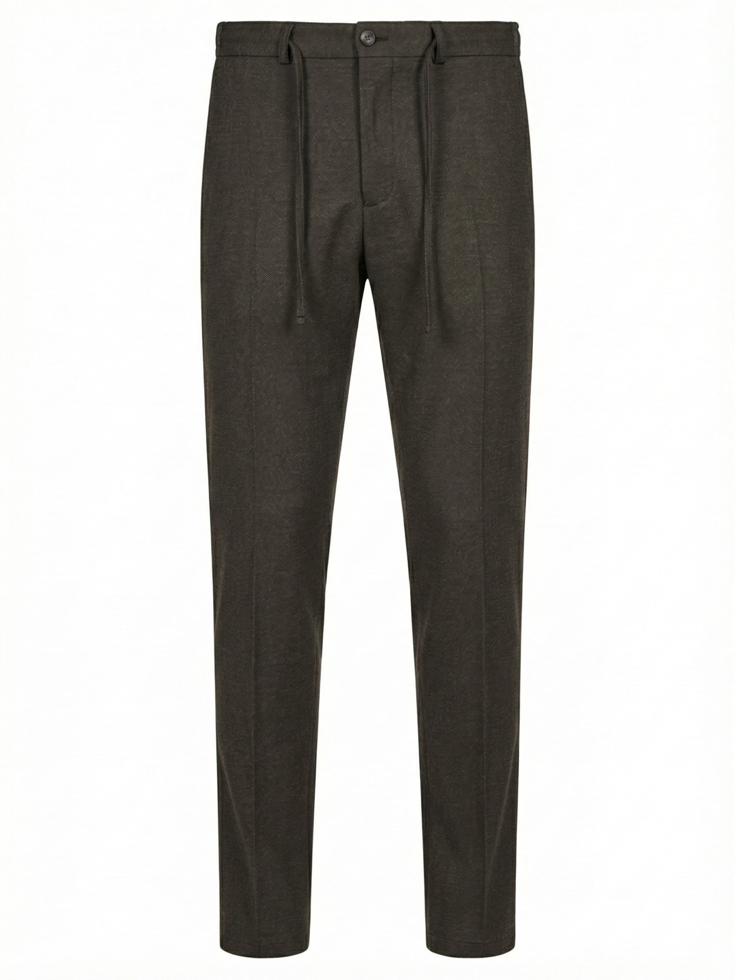 Zuitable Pants 'DiSpartaflex SE' in Brown: front