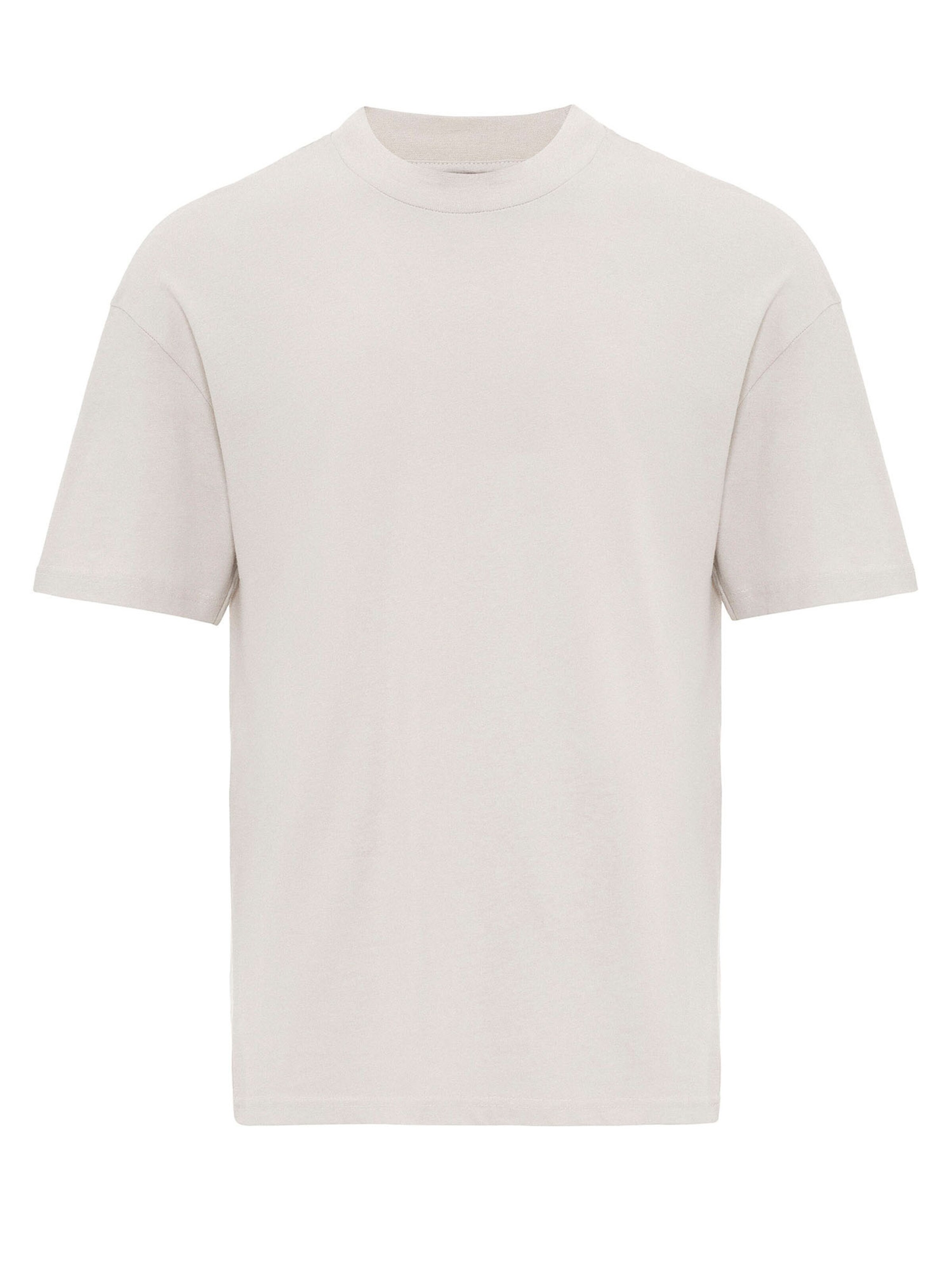 T-Shirt Antioch en gris : devant