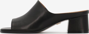 Mule Kazar en noir : devant