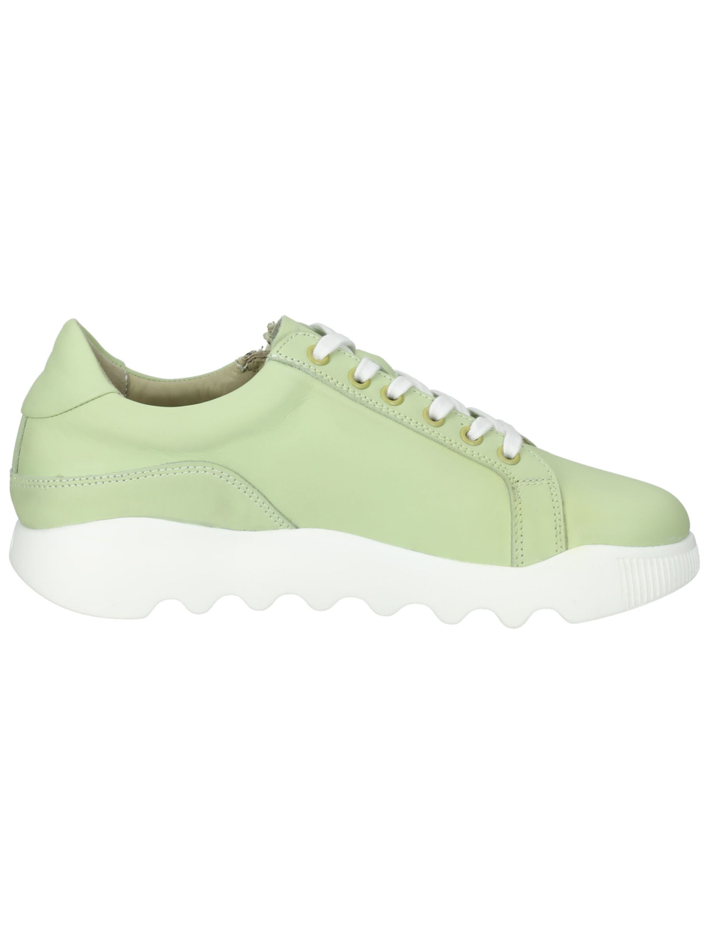 Softinos Sneakers in Green