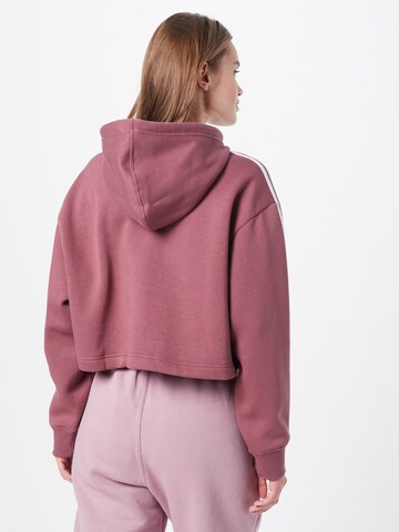 ADIDAS ORIGINALS Sweatshirt in Braun