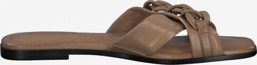 TAMARIS Mules in Brown