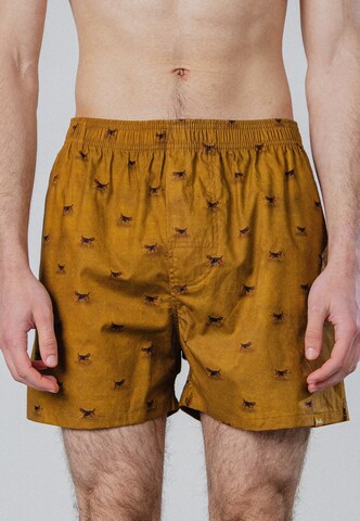 Boxers 'Beagle' Pockies en jaune : devant