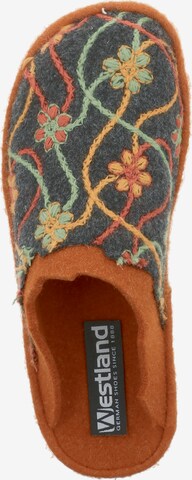 Westland Slippers 'LILLE' in Mixed colors