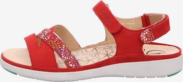 Ganter Sandals in Red: front