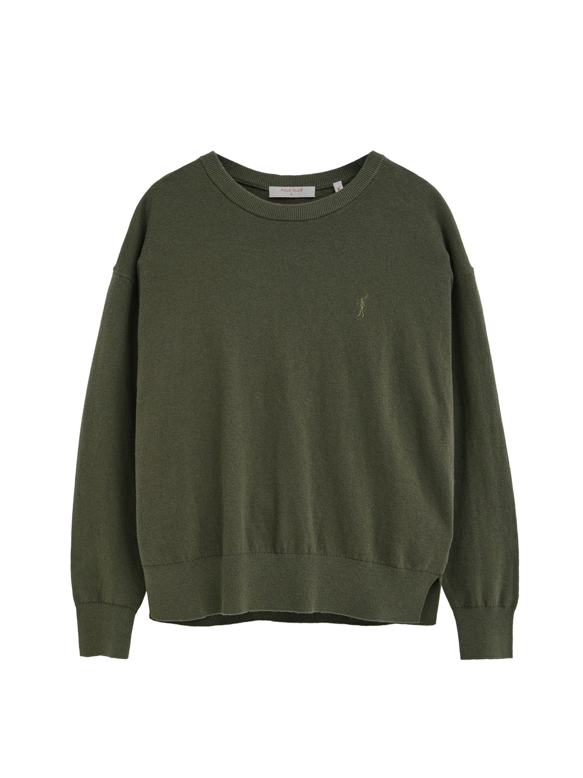 Polo Club Sweater 'RIGBY' in Green: front