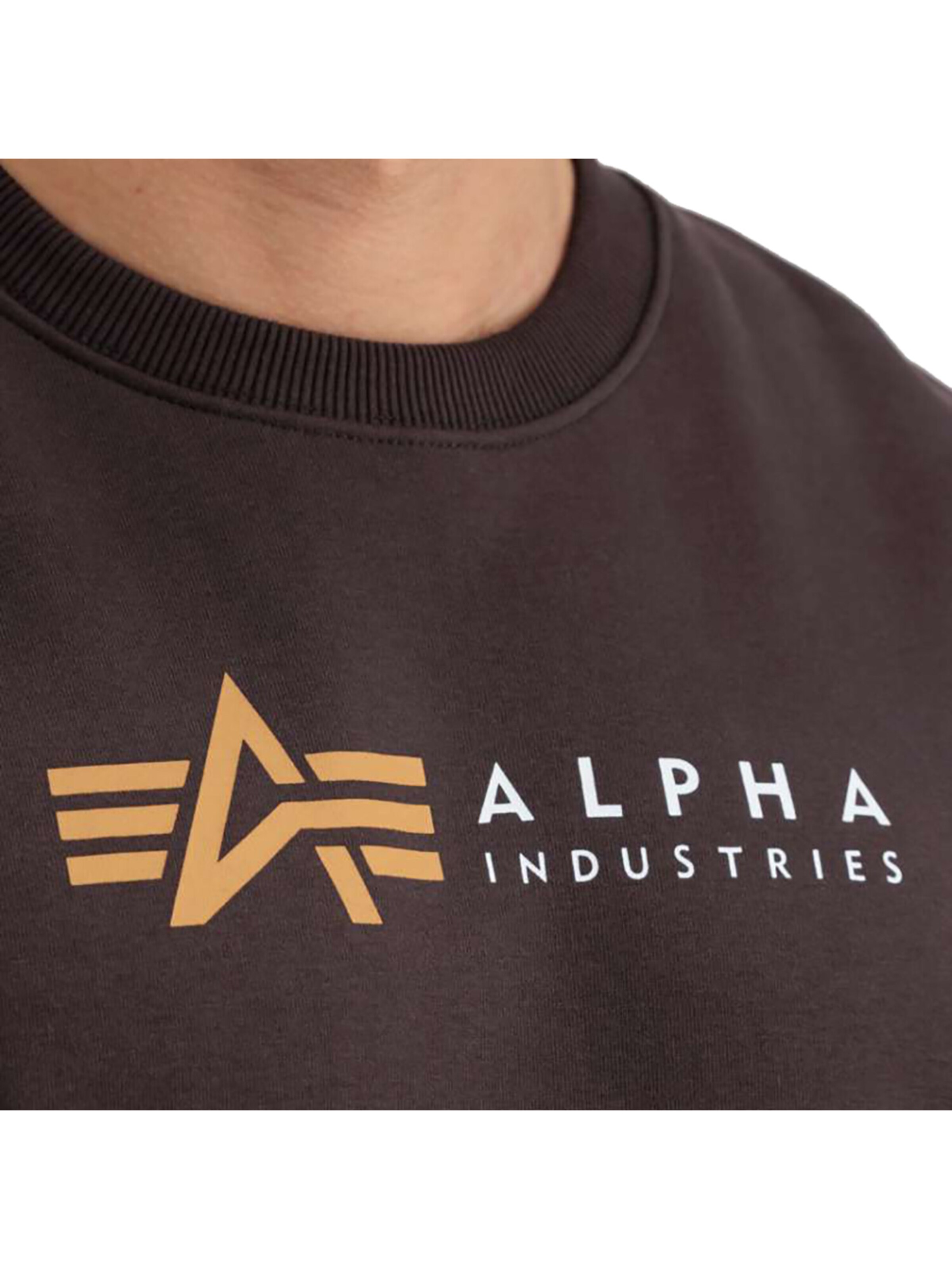 ALPHA INDUSTRIES Sweatshirt 'Alpha Label' in Brown