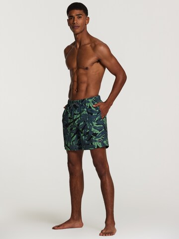 Shorts de bain 'palm cove 4-way stretch' Shiwi en noir