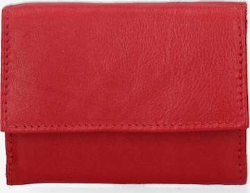 Sergio Valentini Wallet in Red: front