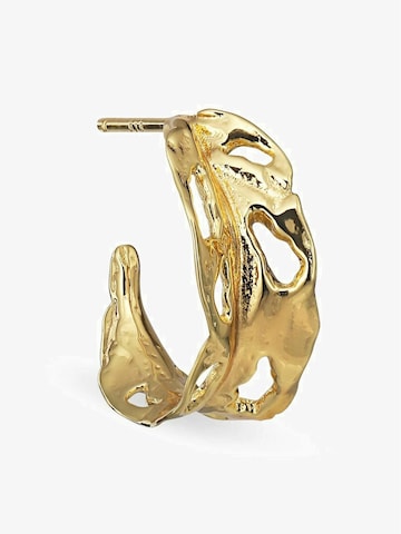 Orecchini di Jane Kønig in oro