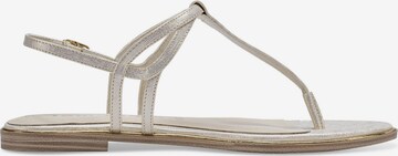 TAMARIS T-Bar Sandals in Gold