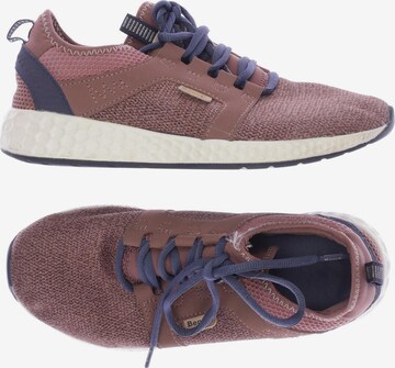 BENCH Sneakers & Trainers in 37 in Brown: front
