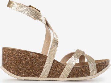 Bayton - Sandalias con hebilla 'Asteria' en oro