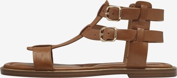 TAMARIS Sandals in Brown: front