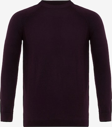 purpurinė Antioch Megztinis: priekis