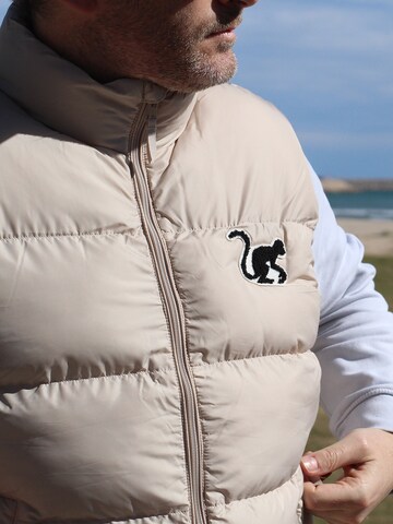 Surf Monkey - Chaleco deportivo 'Pufferweste' en beige