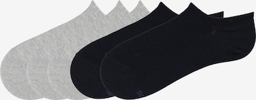 Tezenis Socks in Blue: front
