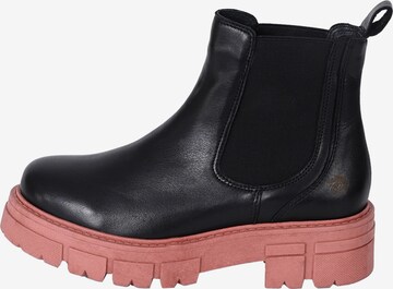 Apple of Eden Chelsea boots 'California' in Zwart