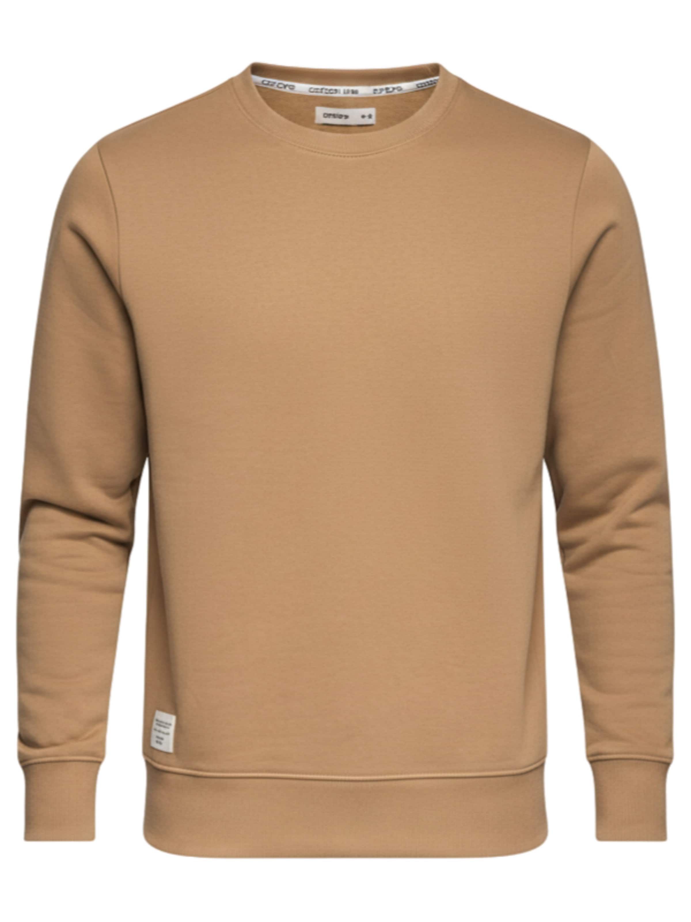 Ombre Sweatshirt in Bruin: voorkant