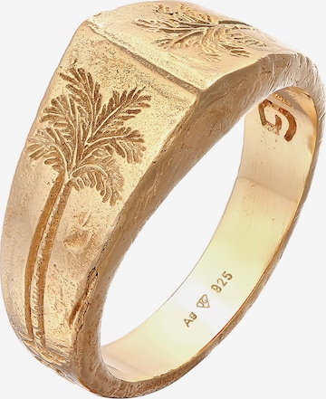 Haze&Glory Ring 'Palme' in Gold: front