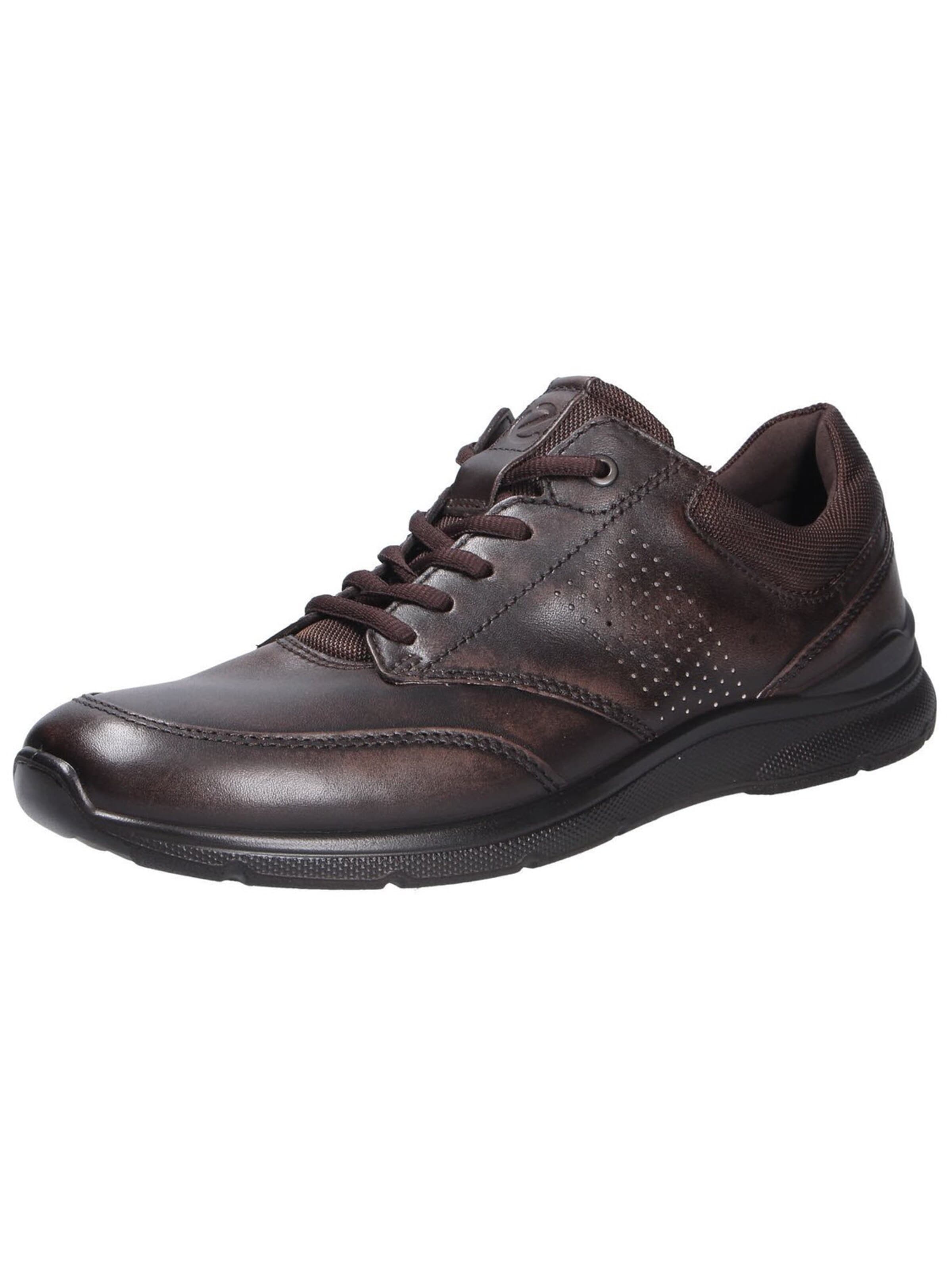Scarpa stringata 'Schnürschuh Herren 511734/55738 Echtleder in braun' di ECCO in marrone: frontale