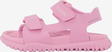 GEOX Sandaalit värissä vaaleanpunainen: etupuoli