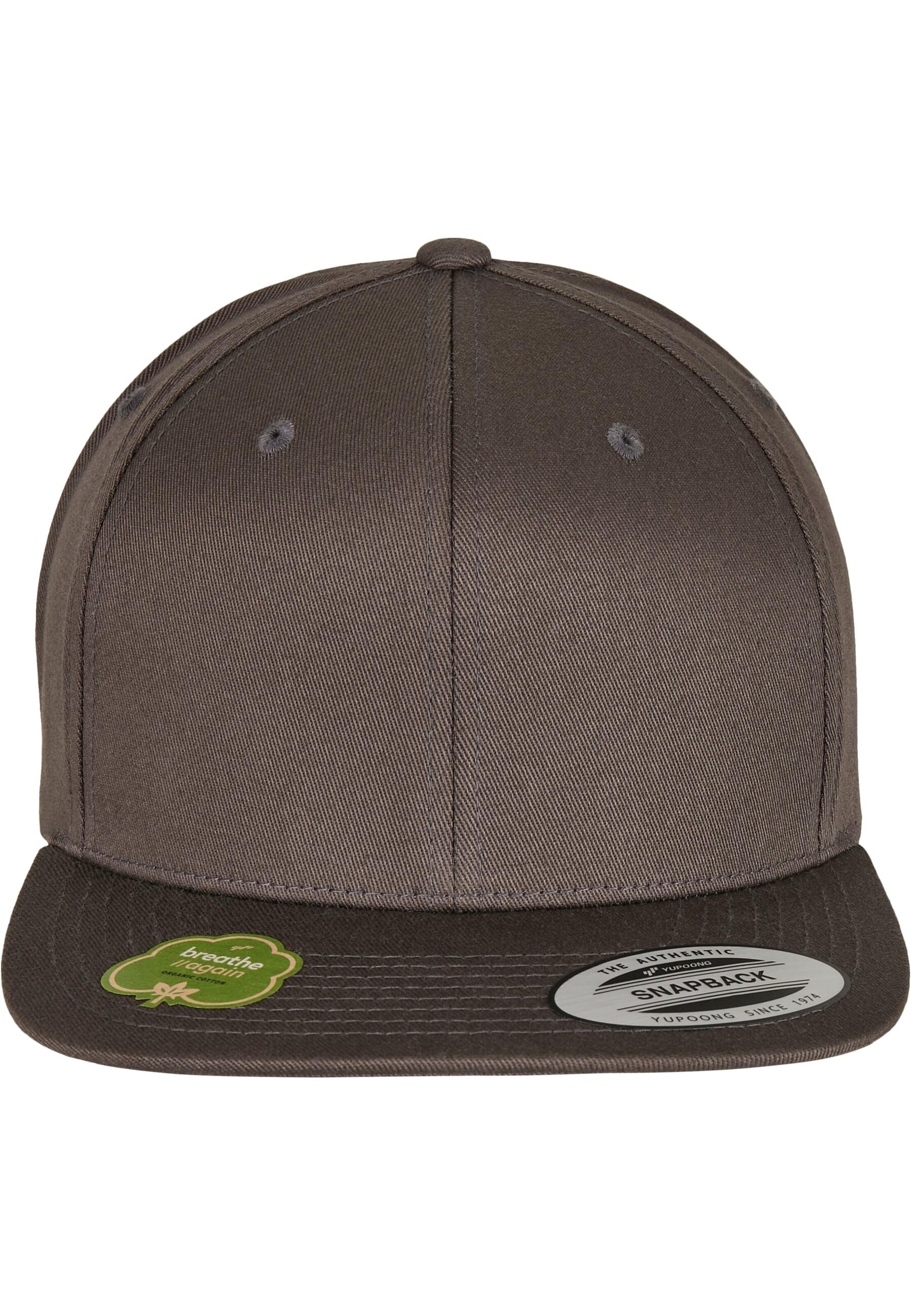 Flexfit Cap in Grey