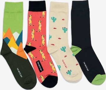 Chaussettes 'JANGWA EDITION Gift box 4 Pack Unisex' The Arctic Bay en mélange de couleurs : devant
