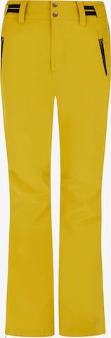 PROTEST Workout Pants 'PRTCINNAMONES' in Green: front