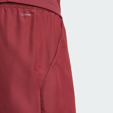 ADIDAS PERFORMANCE Regular Sportbroek 'Club' in Rood