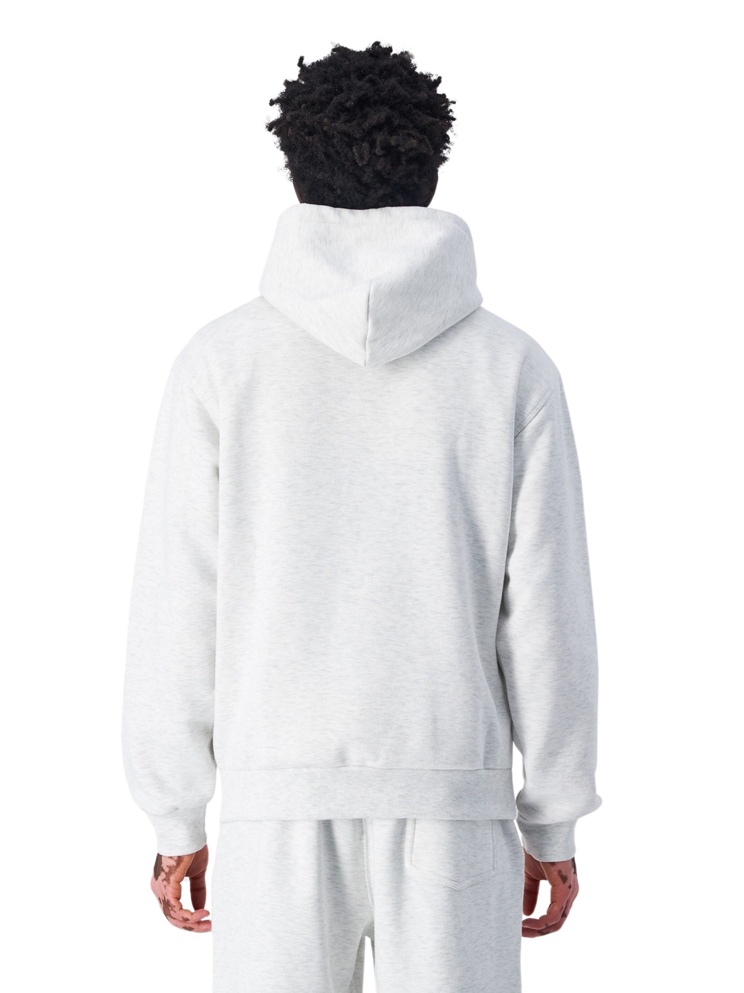 Champion Authentic Athletic Apparel Trui in Grijs