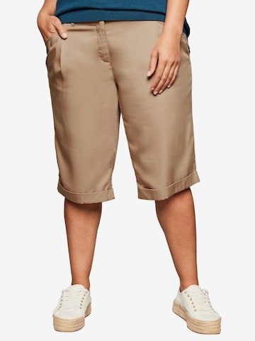 SHEEGO Regular Bundfaltenhose in Beige: predná strana