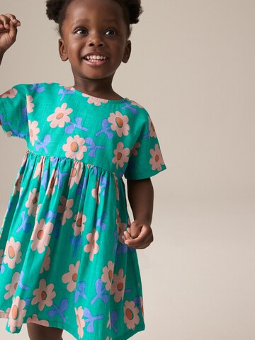 Next Kleid in Grün